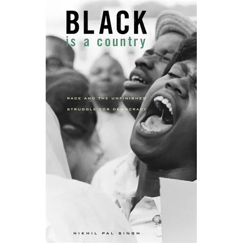 Black Is a Country: Race and the Unfinished Struggle for Democracy