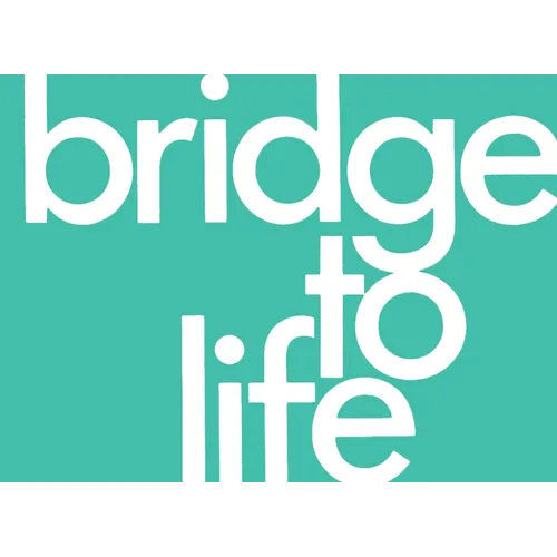 Bridge to Life (Green) 25-Pack