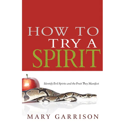 How to Try a Spirit: Identify Evil Spirits and the Fruit They Manifest - Paperback