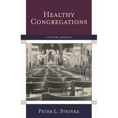 Healthy Congregations: A Systems Approach - Paperback