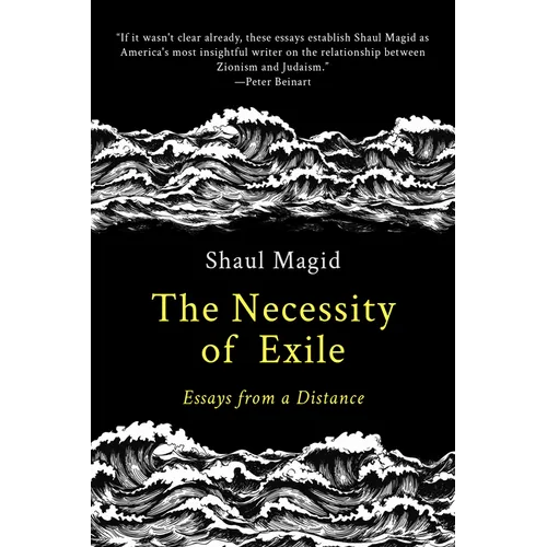 The Necessity of Exile: Essays from a Distance