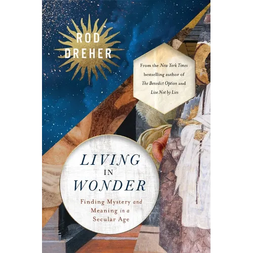 Living in Wonder: Finding Mystery and Meaning in a Secular Age
