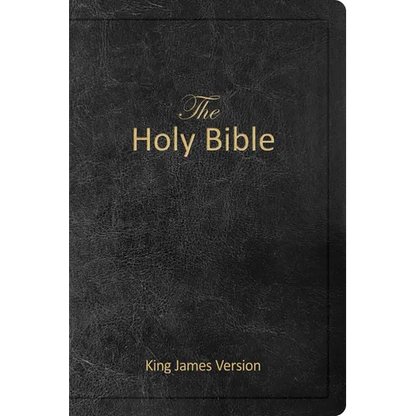 The Holy Bible - King James Version (Kjv, Holy Spirit Edition, Black Imitation Leather, Dedication Page, Prayer Section)