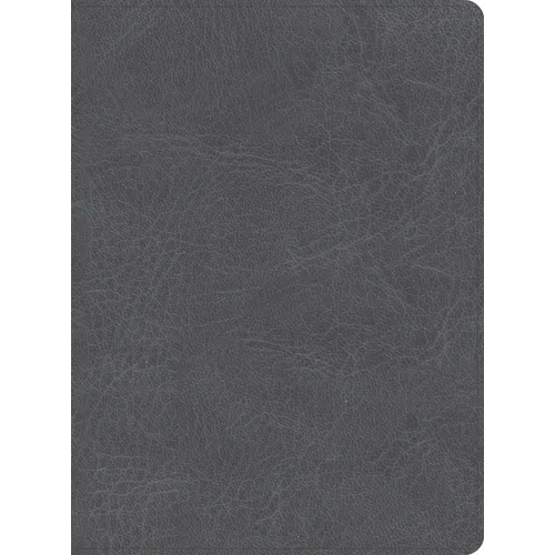 CSB He Reads Truth Bible, Smoke Leathertouch, Indexed