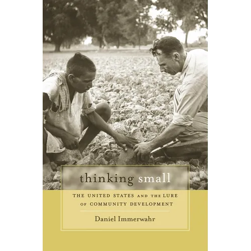 Thinking Small: The United States and the Lure of Community Development