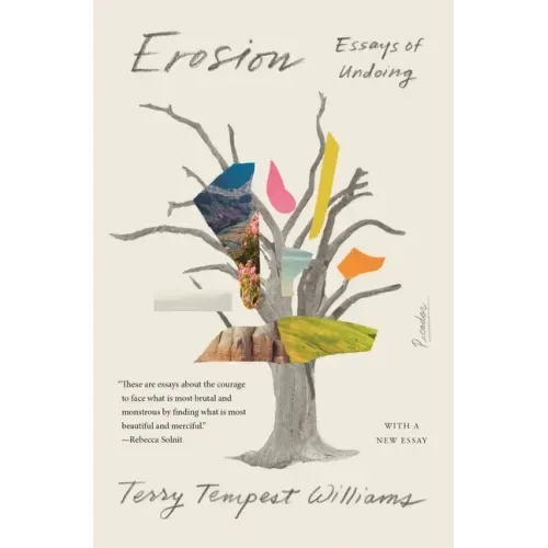 Erosion: Essays of Undoing