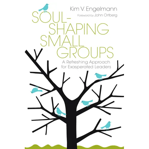 Soul-Shaping Small Groups: A Refreshing Approach for Exasperated Leaders