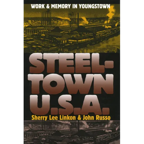 Steeltown U.S.A.: Work and Memory in Youngstown
