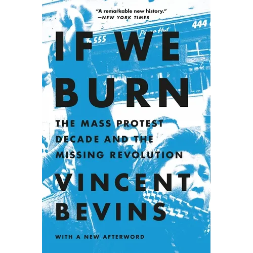 If We Burn: The Mass Protest Decade and the Missing Revolution
