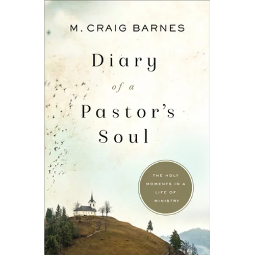 Diary of a Pastor's Soul
