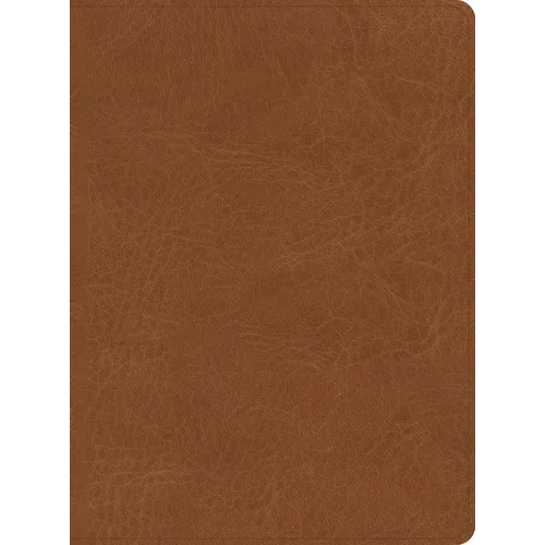 CSB He Reads Truth Bible, Saddle Leathertouch, Indexed